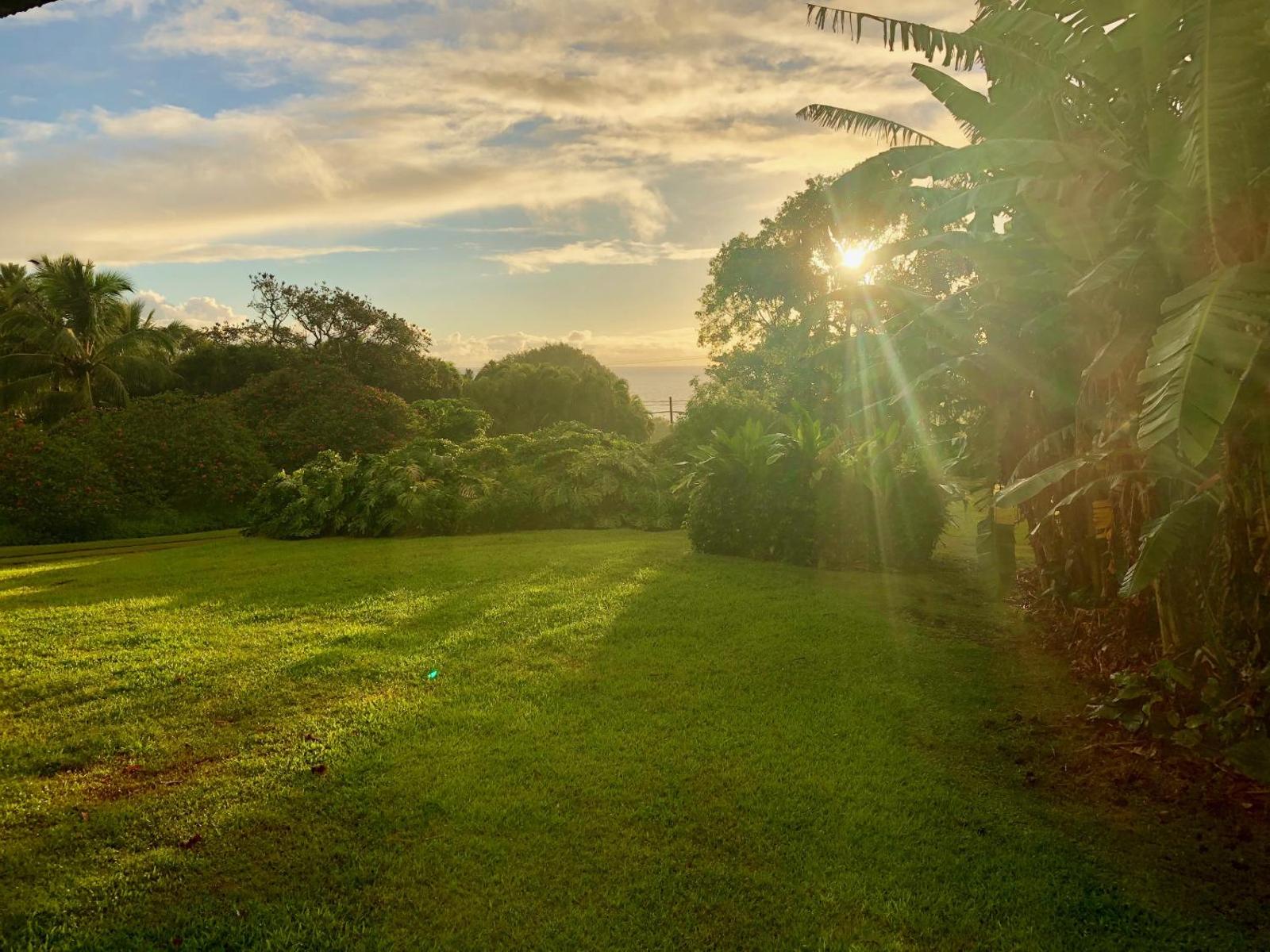 Hale Nanea - Hana Paradise Cottages Main image 2