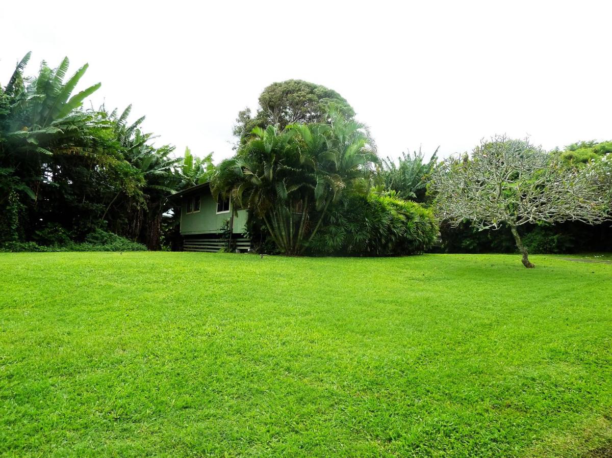 Popular attractions Area Nearby Property